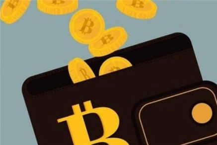 学海无涯！莱特币钱包下载